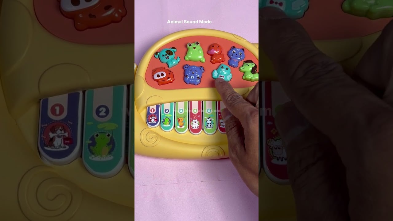 Lumo Snail Musical Electronic Piano Snail For Kids  #toystoreindia #musicaltoys