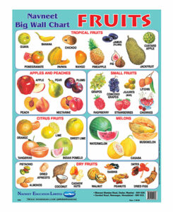 Navneet Fruits Big Wall Chart