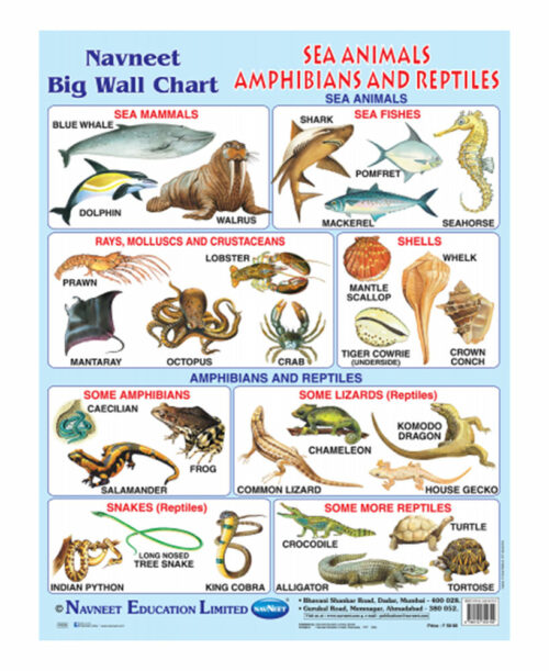 Navneet Sea Animals, Amphibians & Reptiles Big Wall Chart