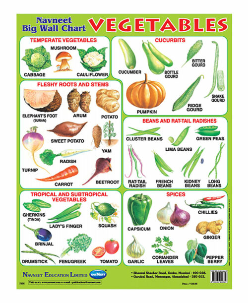 Navneet Vegetables Big Wall Chart