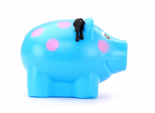 Speedage Piggy Bank Popular - Blue