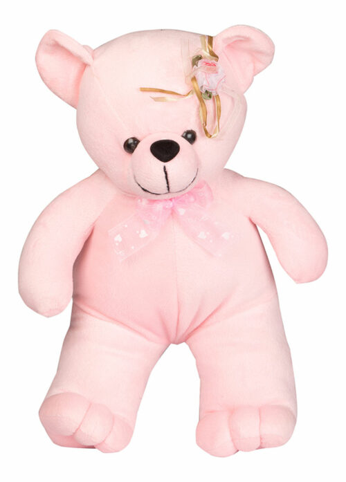 Charli No. 40 Teddy 35cm Pink