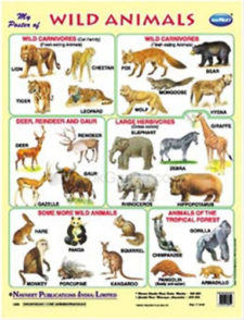 Navneet Poster Wild Animals