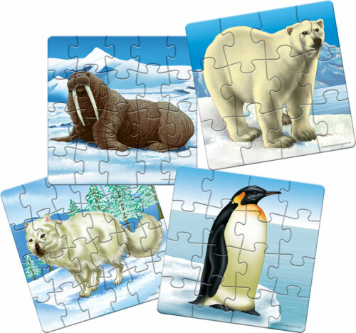 11601 Polar Animals 2