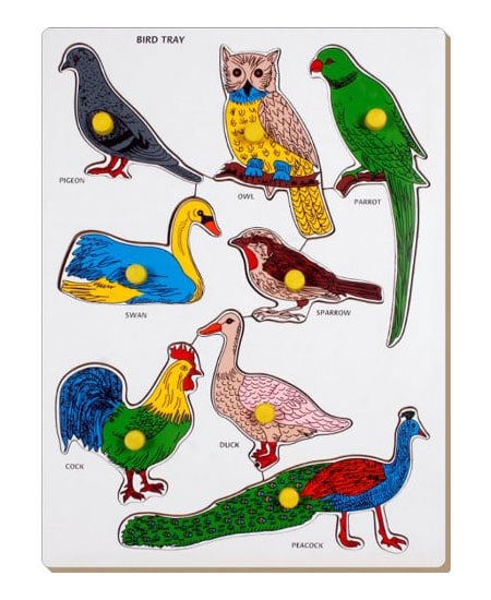 Little Genius Bird Parrot Tray Sp 15 Kheliya 00770.Jpgfilenameutf 8Little Genius Bird Parrot Tray Sp 15 Kheliya 00770 Little Genius Bird Parrot Tray Sp15 For Kids | 1+Years Little Genius Bird Parrot Tray Sp15