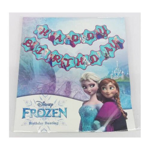Frozen Movie Happy Birthday Party Bunting Banner