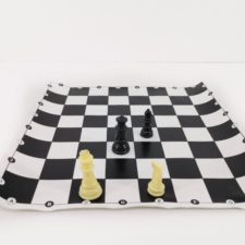 42452-jr-winner-chess-1