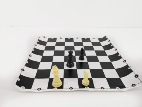 42452-jr-winner-chess-1