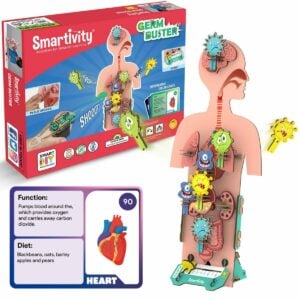 Smartivity Human Body Toy | Skill Developing Toy For Kids | 6+ Years