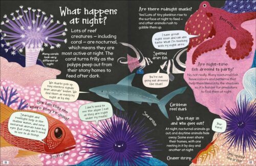 Miles Kelly Curious Questions And Answers About Coral Reefs Book 2