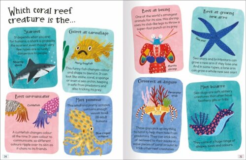 Miles Kelly Curious Questions And Answers About Coral Reefs Book 3