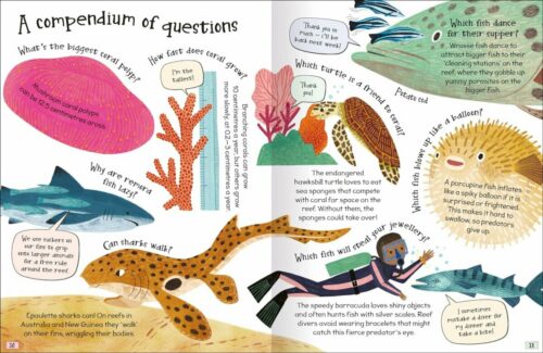 Miles Kelly Curious Questions And Answers About Coral Reefs Book 4