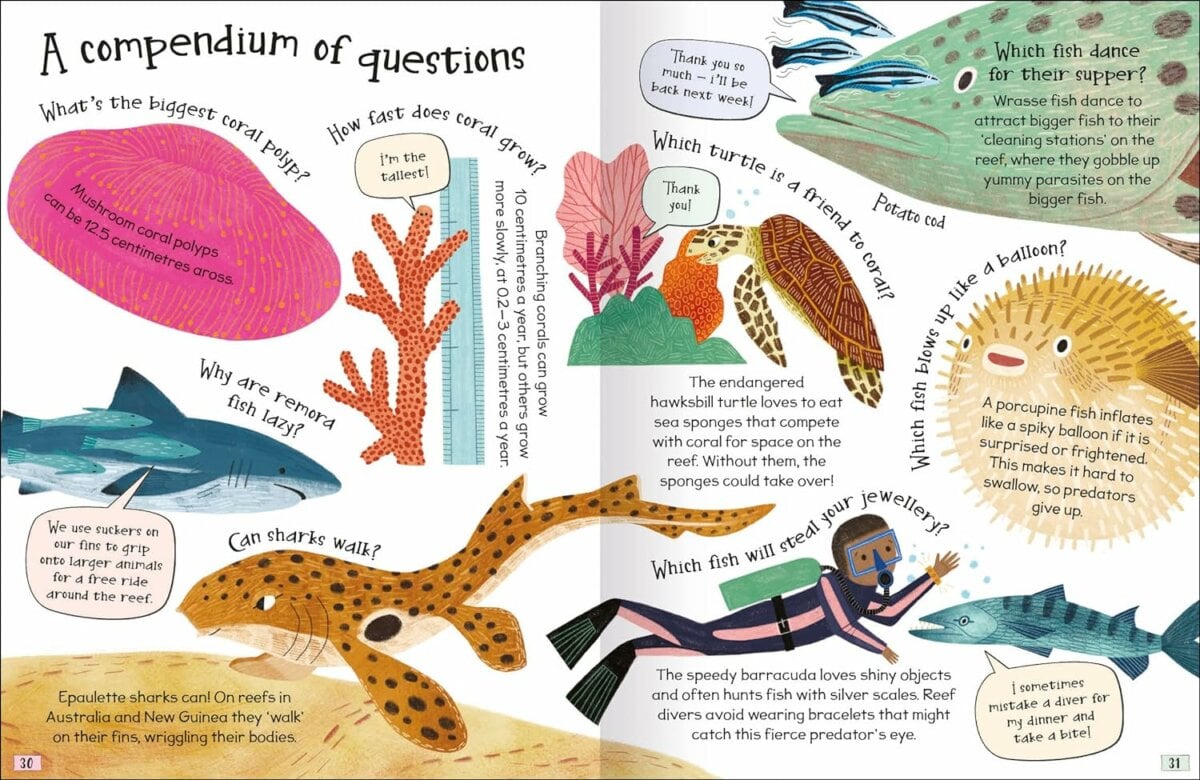 Miles Kelly Curious Questions And Answers About Coral Reefs Book 4 Miles Kelly Curious Questions And Answers About Coral Reefs Book Miles Kelly Curious Questions And Answers About Coral Reefs Book Image 5