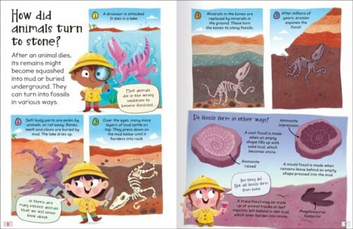 Miles Kelly Curious Questions And Answers About Fossils Book | Buy ...