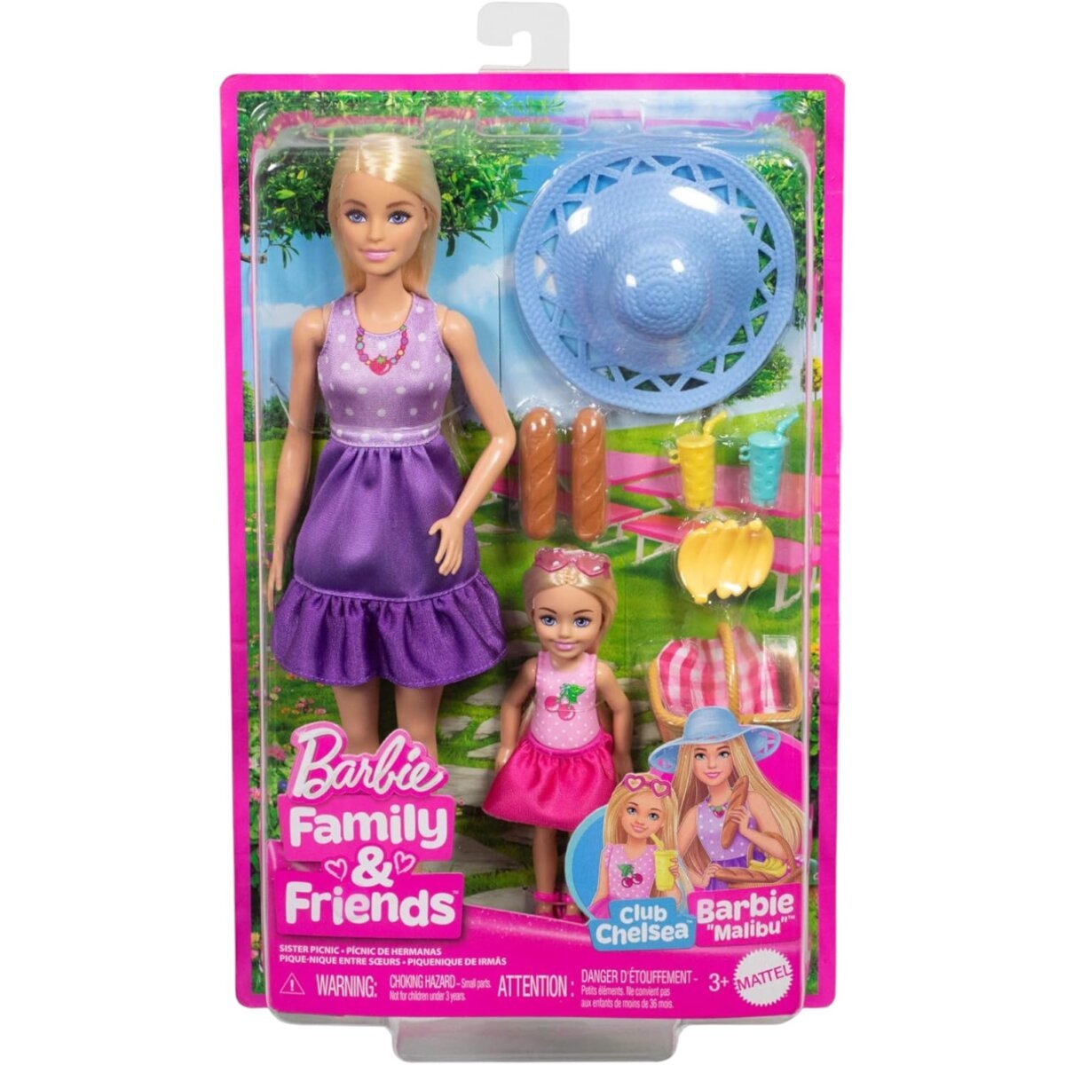 Mattel Barbie Family and Friends Dolls Picnic-Themed Playset | Storytelling Fun with Barbie and Friends | 3+Years