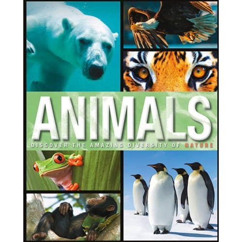 Amazing Fact Animals | Ultimate Educational Book for Kids 5+ Years | Discover Wildlife Diversity