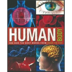 Amazing Human Body Fact Book | Fun Educational Book for Kids 5+ | Learn How the Body Works