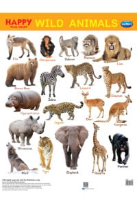 Navneet Happy Wall Laminated Chart Wild Animals And What Wild Animals Eat | Educational Wall Chart For Kids | 2+ Years