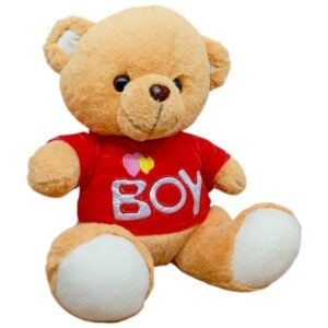Just Bear! Wide Foot Soft Plush | Cute and Chunky Cuddly Toy for Kids | 3+ Years