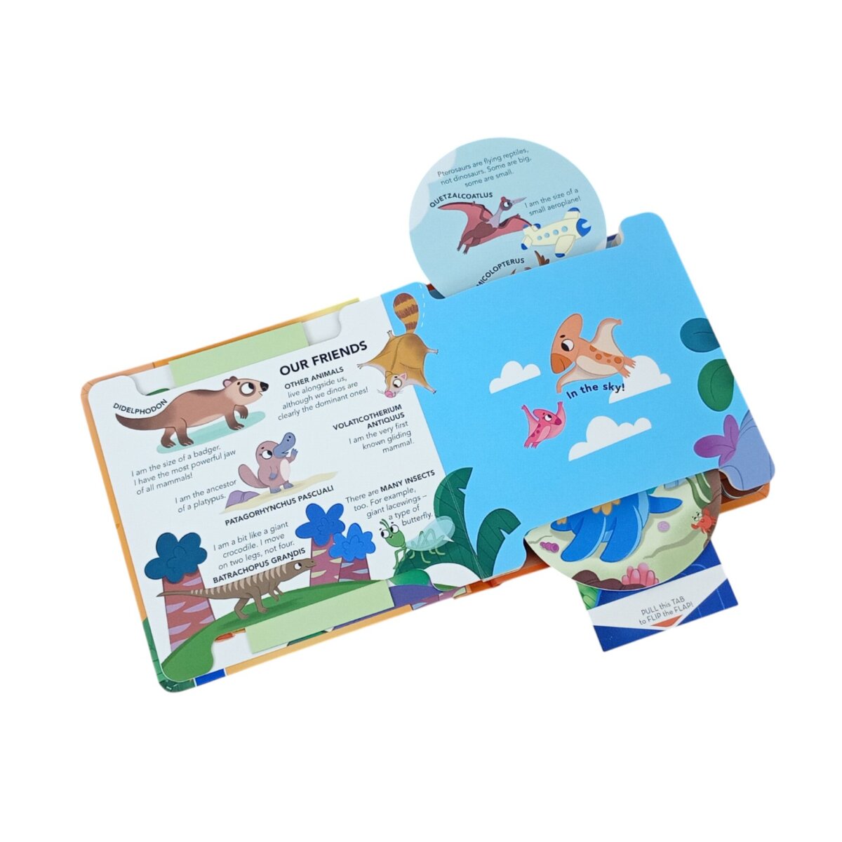 Flip Flap Facts Dinosaurs' Learning About Dinosaurs | Interactive