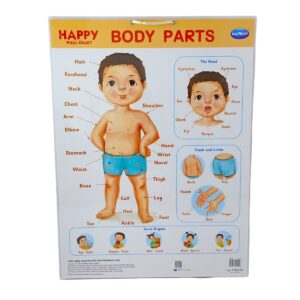 Navneet Happy Wall Chart – Human Body Parts  And daily Routine | Laminated Educational Chart | Early Learning Classroom and Home Study Poster for Kids | 3+ Years