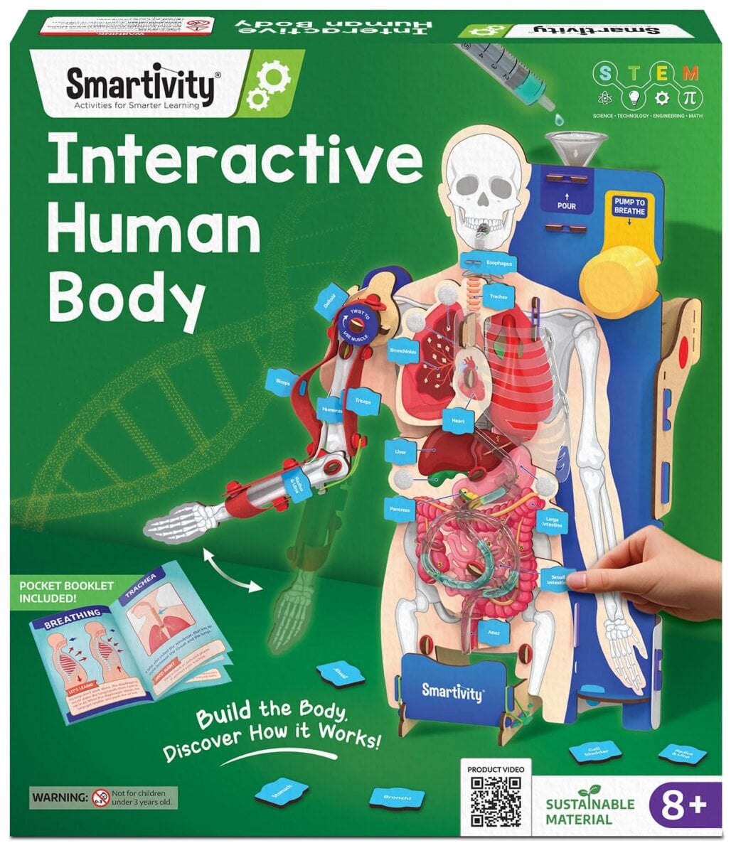 Smartivity Interactive Human Body toy for kids, Smartivity Interactive Human Body educational playset, Smartivity Interactive Human Body learning toy, Smartivity Interactive Human Body STEM kit